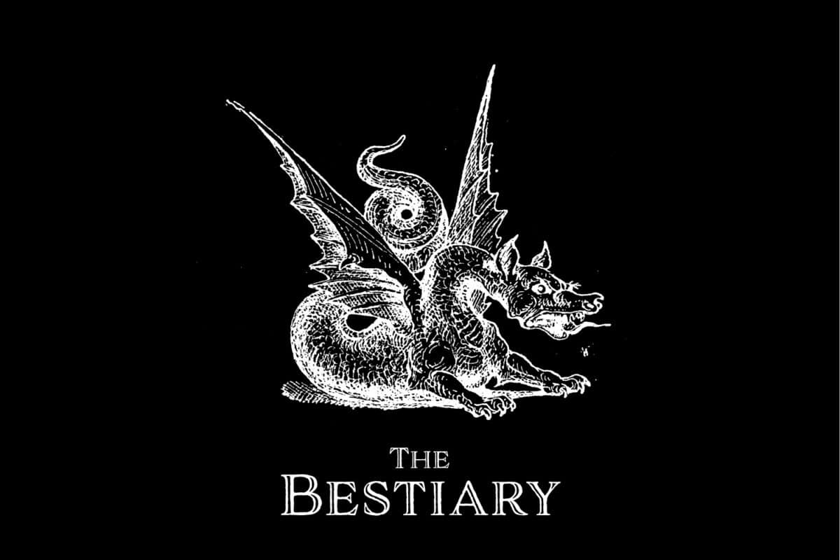 Bestiary: Black Bear